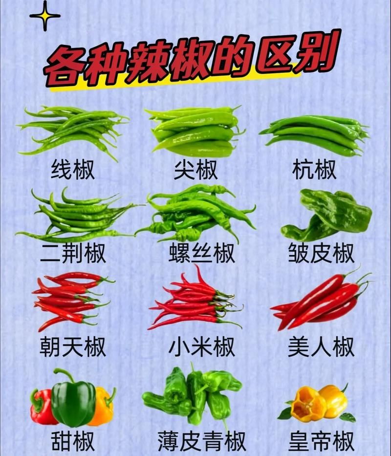 各種辣椒圖片