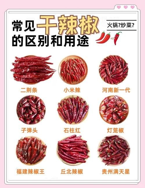 各種辣椒圖片