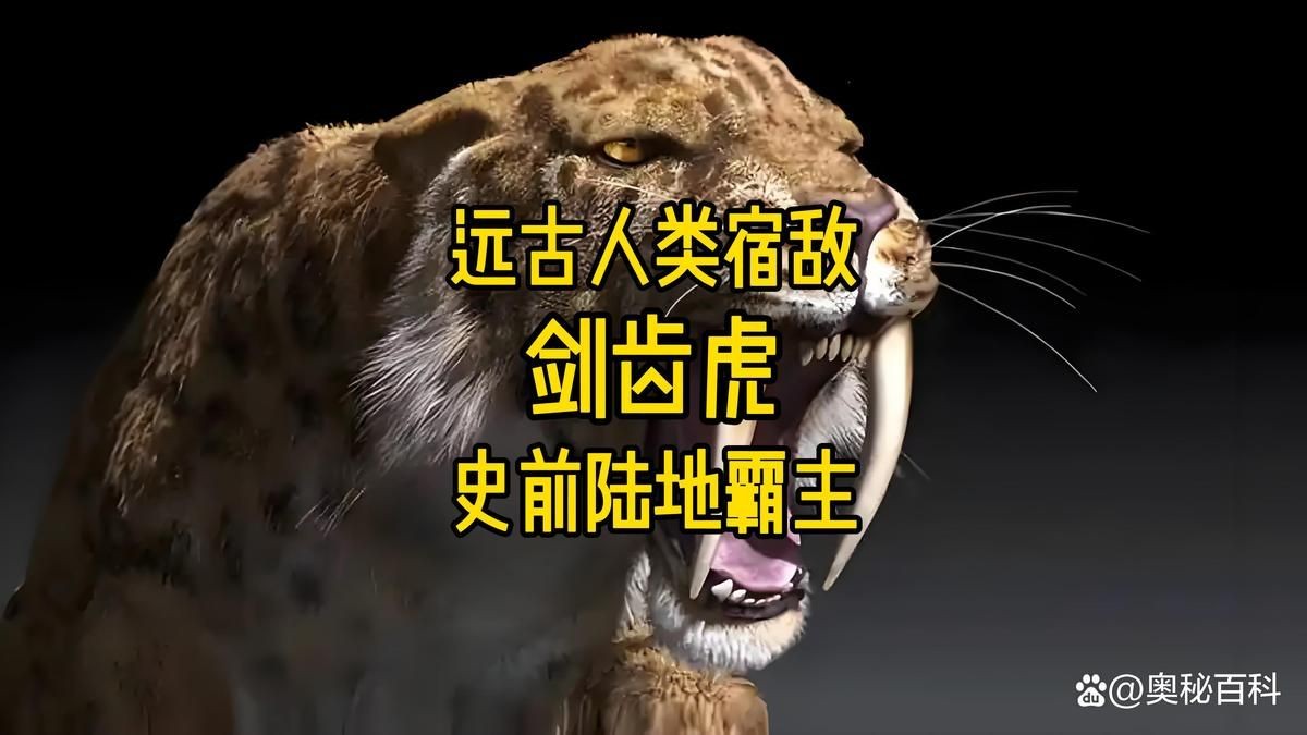 劍齒虎吃人嗎