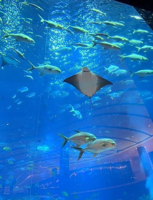 南京水族店