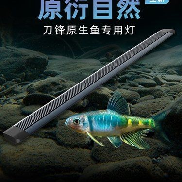 吉印水族箱燈圖片