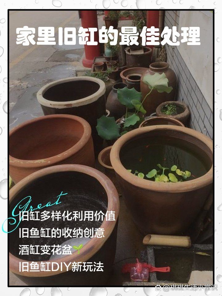 舊魚缸改造100種方法