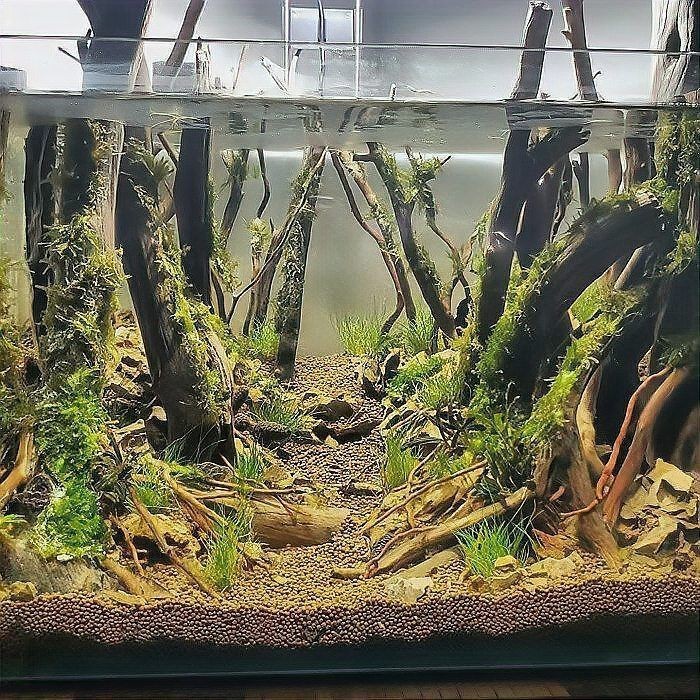 舊魚缸改造100種方法