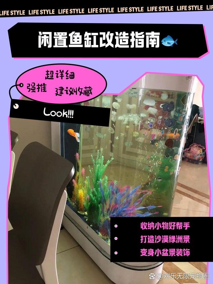 舊魚缸改造100種方法