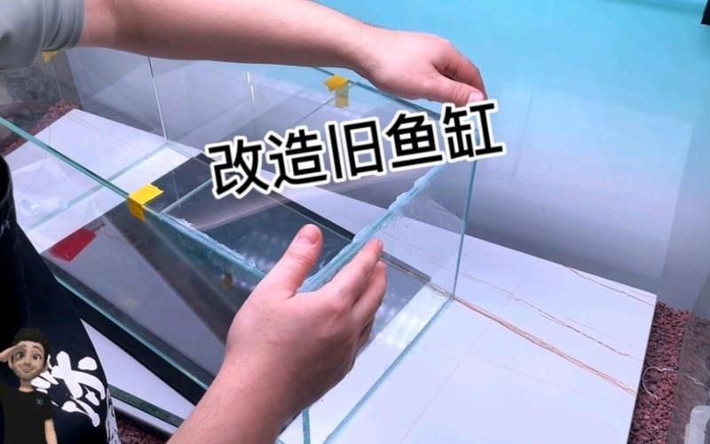 舊魚缸改造100種方法