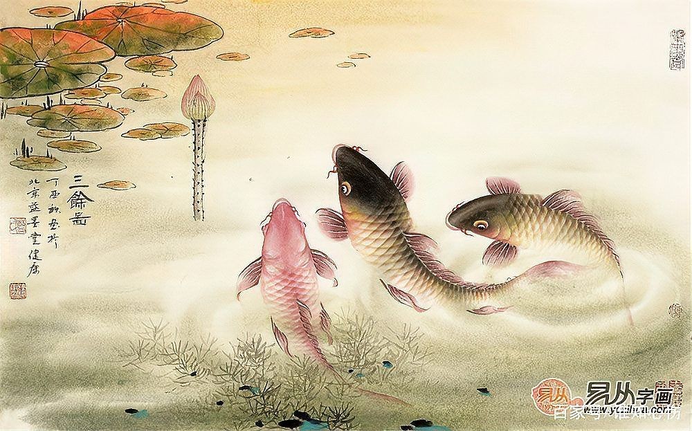 九魚圖三條黑魚好不好