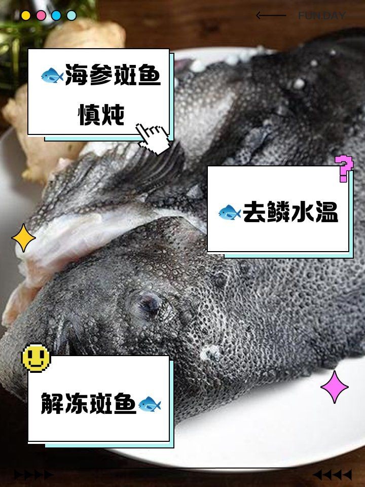 海參斑魚為什么不建議吃