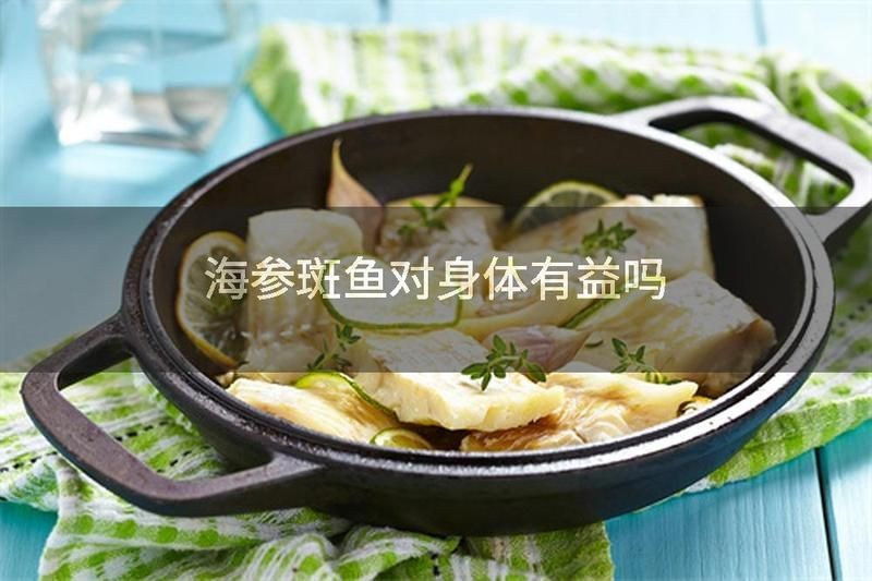 海參斑魚為什么不建議吃