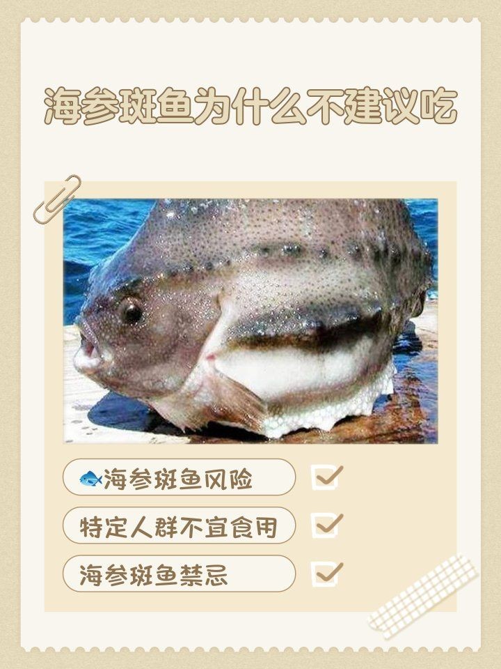 海參斑魚為什么不建議吃