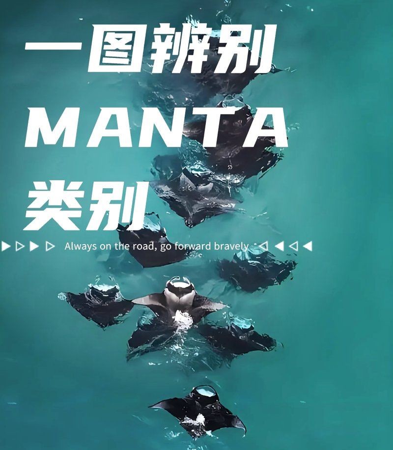 和魔鬼魚相似的魚