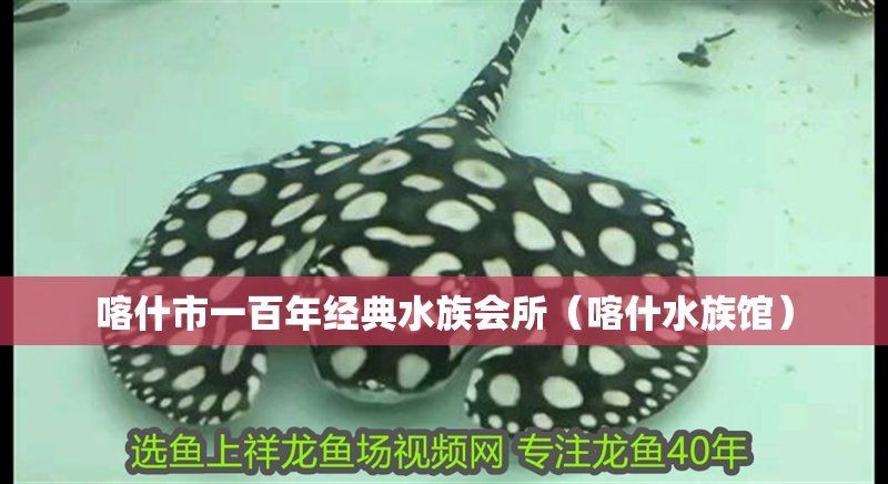 喀什水族館