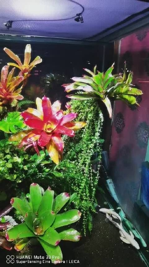 喀什水族館