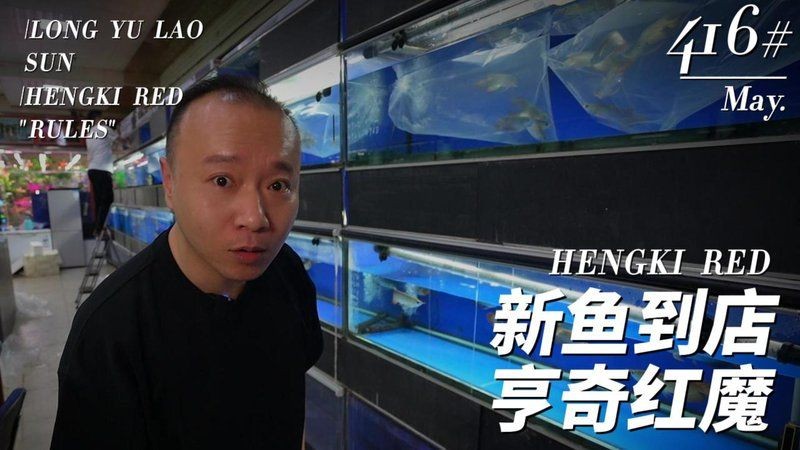 和興龍魚最出名的三個牌子