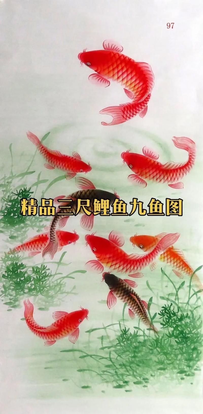 九魚聚財(cái)風(fēng)水畫圖片