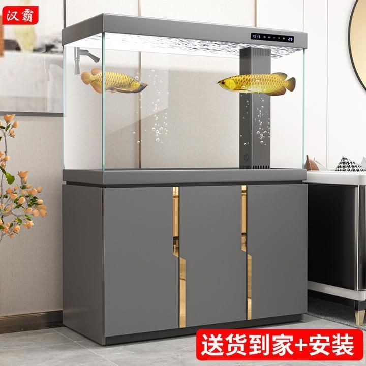 漢霸魚(yú)缸建議買嗎