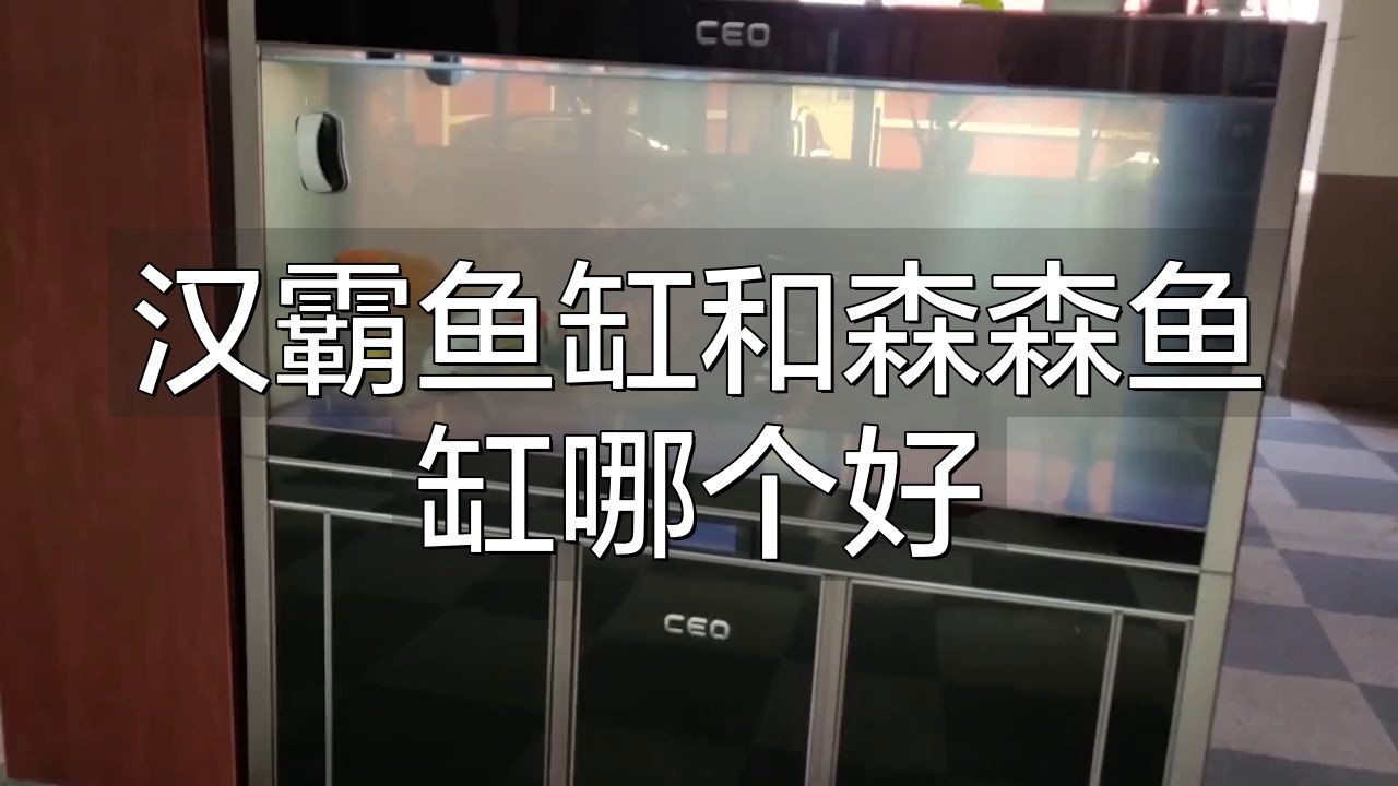 龍魚蒙眼的治療方法和預后情況是非常重要的，我們需要了解，如何判斷龍魚蒙眼的嚴重程度？