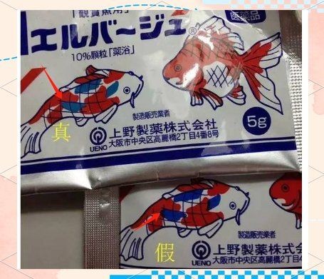 加了黃粉不換水可以嗎