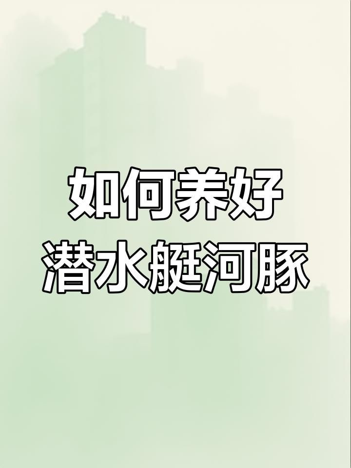 河豚潛水艇怎么養(yǎng)