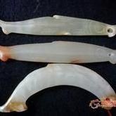 各個時期玉魚圖片
