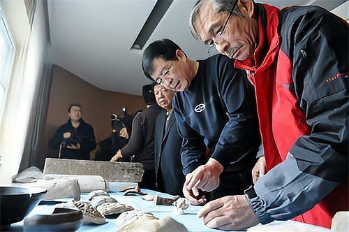 廣西水族 廣西水族 龍魚論壇 第11張