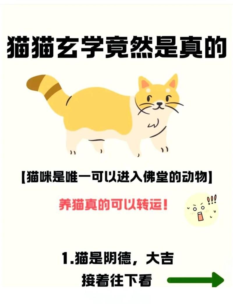 貓和魚一起養的風水