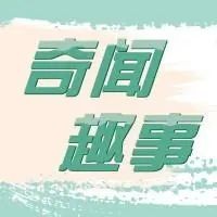 巨齒鯊能秒殺70頭虎鯨嗎