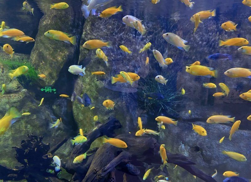 嘉興水族館