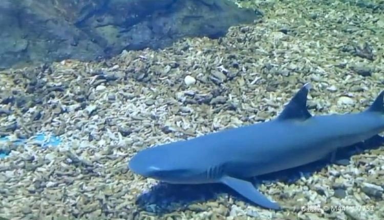 嘉興水族館