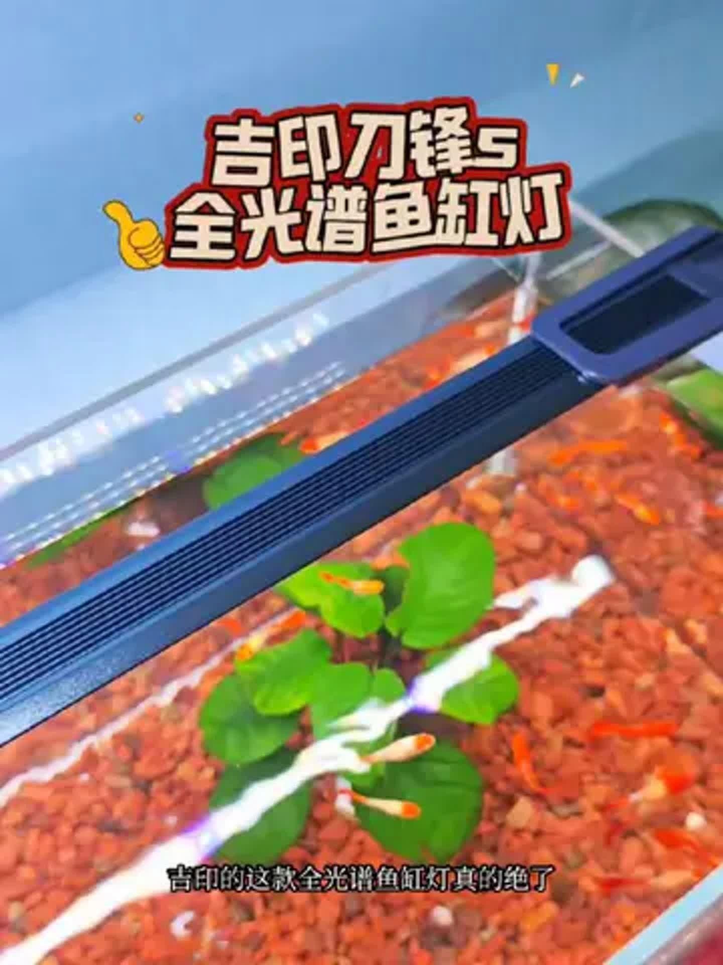 吉印水草燈最建議買的三個顏色