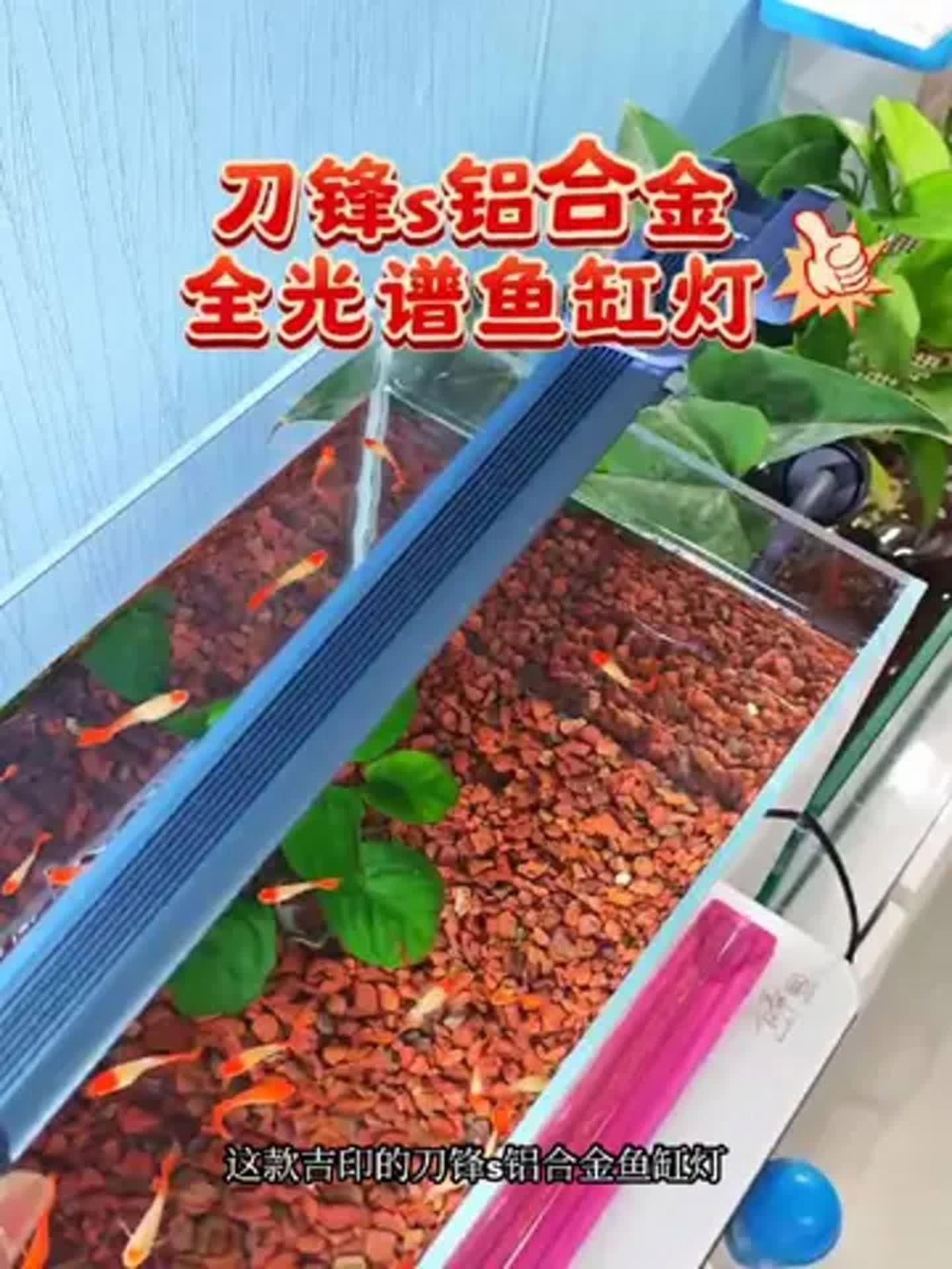 吉印水草燈最建議買的三個顏色