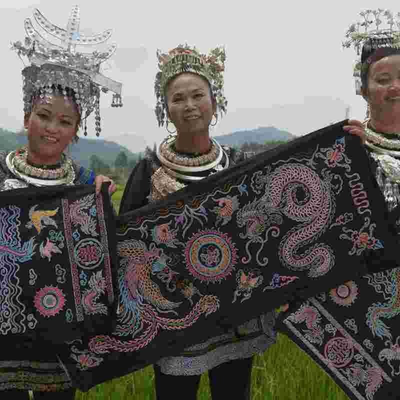 關于水族的知識簡介