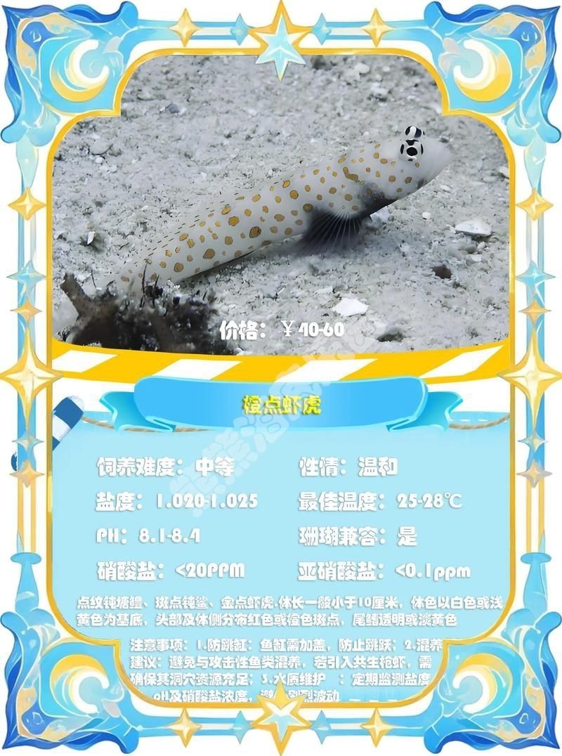 巨型蝦虎魚圖片 巨型蝦虎魚圖片 龍魚百科 第24張