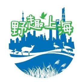 巨型蝦虎魚圖片 巨型蝦虎魚圖片 龍魚百科 第26張