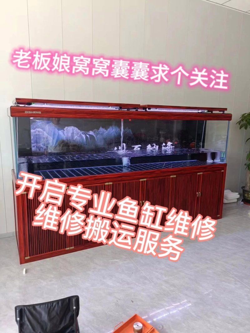 商丘魚缸維護