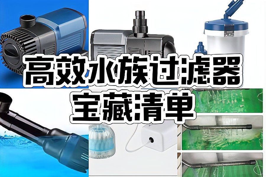 家用養(yǎng)魚(yú)循環(huán)過(guò)濾水泵 家用養(yǎng)魚(yú)循環(huán)過(guò)濾水泵 龍魚(yú)論壇 第3張