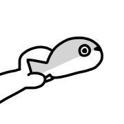巨骨舌魚進食血霧