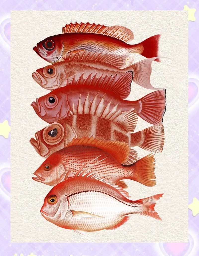 紅色的魚有哪幾種圖片