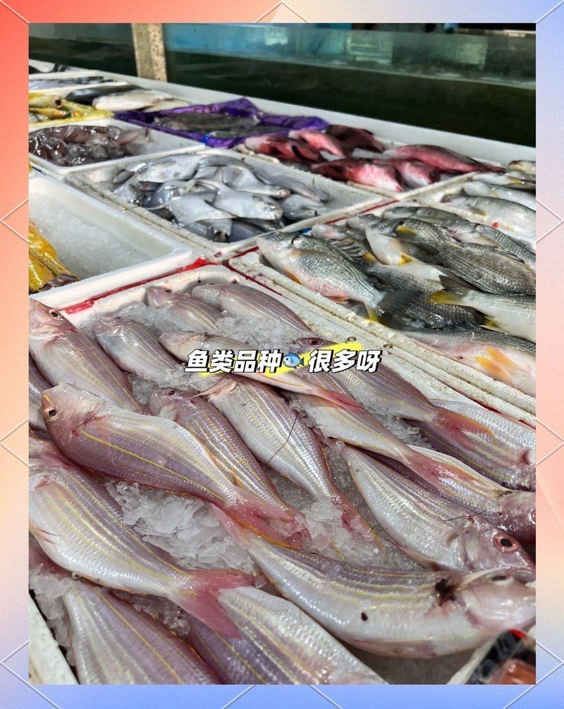 烏魯木齊水族批發(fā)市場(chǎng)