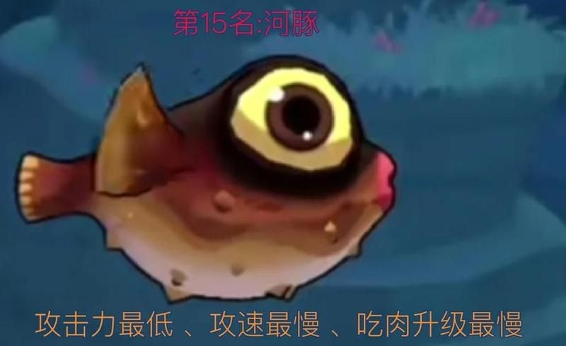 海洋里十大厲害的魚