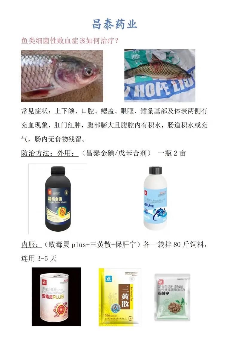 海水魚細(xì)菌感染癥狀圖片