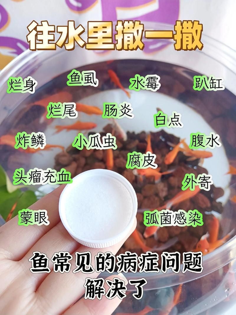 海水魚細(xì)菌感染癥狀圖片