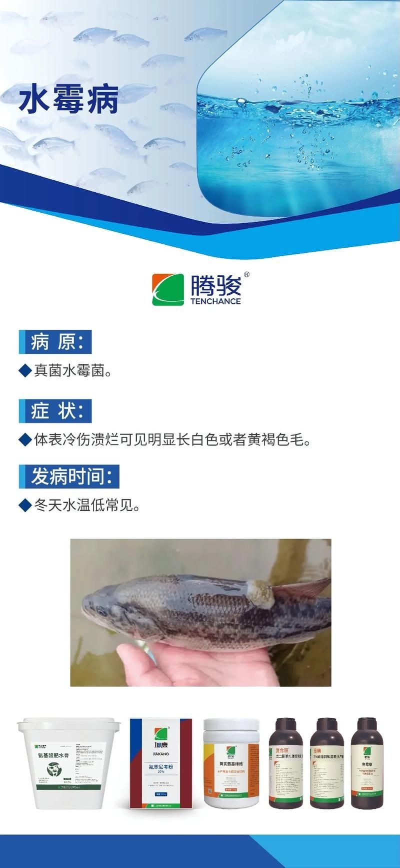 滕州市龍陽有漁水族館（滕州市龍陽有漁水族館經營產品：花卉、金魚、魚缸（依法須經批準的項目）） 滕州市龍陽有漁水族館（滕州市龍陽有漁水族館經營產品：花卉、金魚、魚缸（依法須經批準的項目）） 觀賞魚百科 第2張