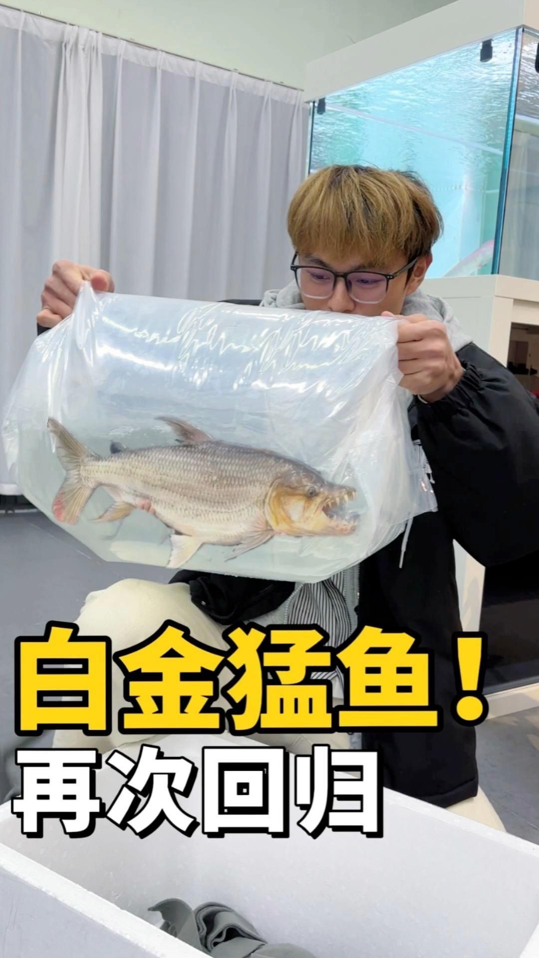開個觀賞魚店需要多少錢
