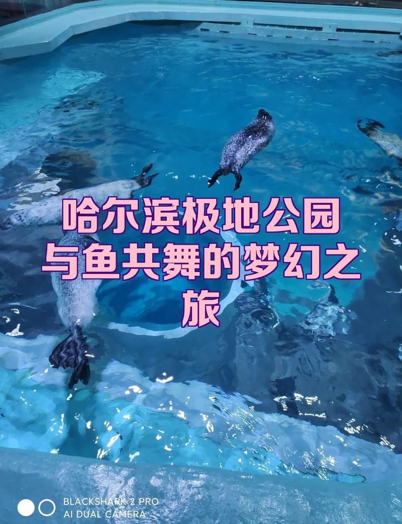 哈爾濱水族店 哈爾濱水族店 全國水族館企業名錄 第3張