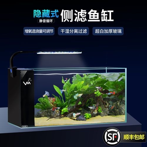 家庭小型魚缸圖片 家庭小型魚缸圖片 龍魚論壇 第17張