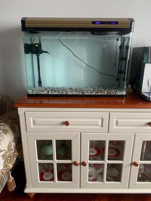 家庭小型魚缸圖片 家庭小型魚缸圖片 龍魚論壇 第6張