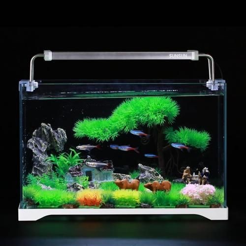 家庭小型魚缸圖片 家庭小型魚缸圖片 龍魚論壇 第25張
