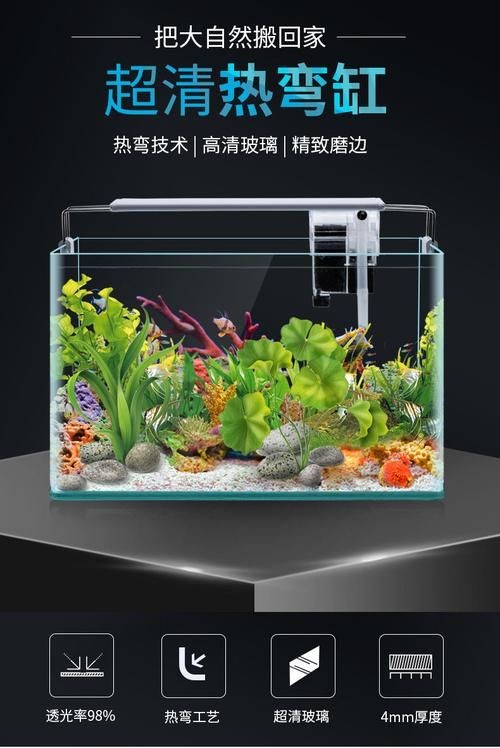 家庭小型魚缸圖片 家庭小型魚缸圖片 龍魚論壇 第27張