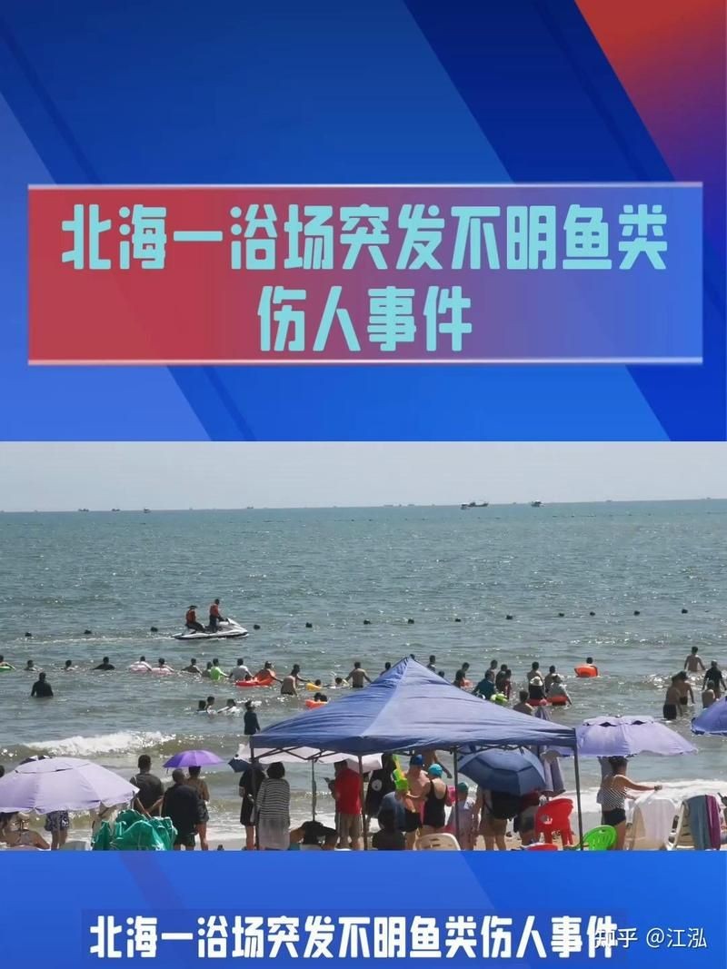 號(hào)半龍魚咬人后圖片 號(hào)半龍魚咬人后圖片 全國水族館企業(yè)名錄 第28張
