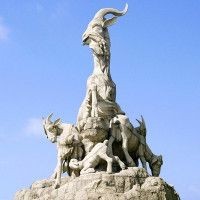歌利魚(yú)多少錢(qián)一斤 歌利魚(yú)多少錢(qián)一斤 龍魚(yú)論壇 第4張